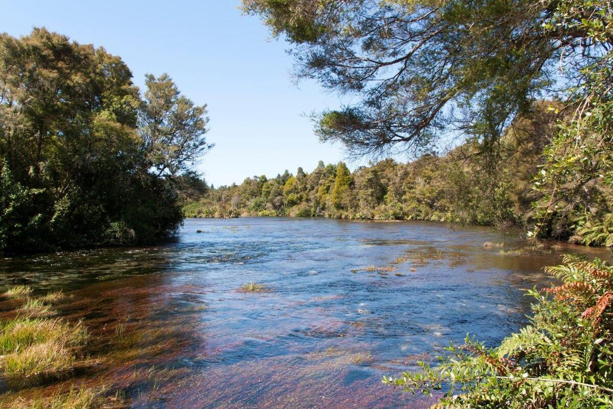 Foto van deze vakantie