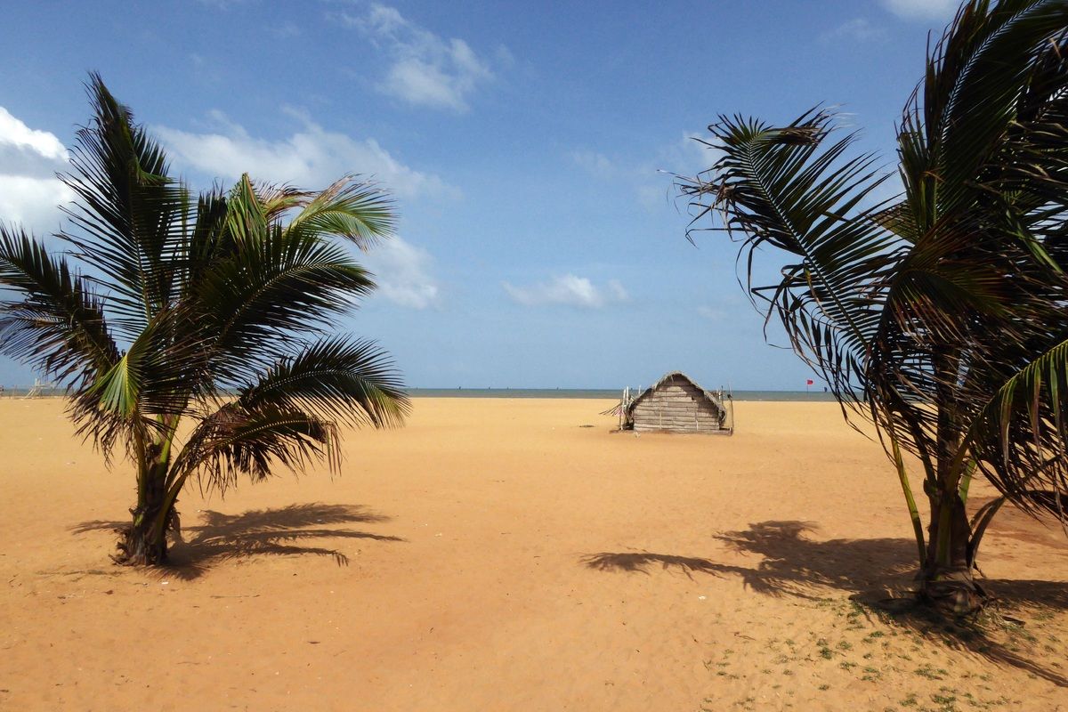 De brede stranden van Sri Lanka met palmbomen