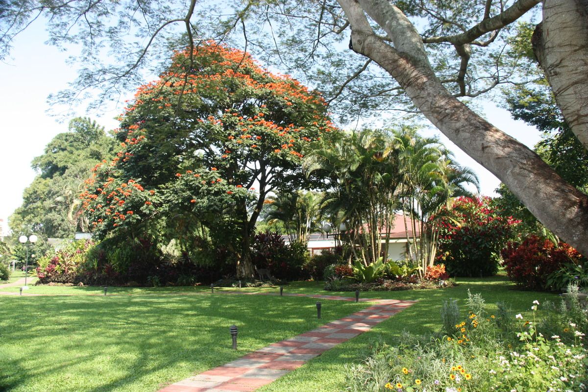 De tuin bij Hotel Bougainvillea