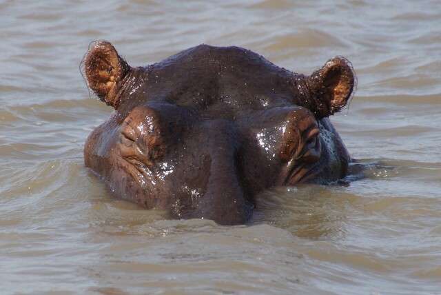 Zuid-Afrika: het land van de (im)perfectie