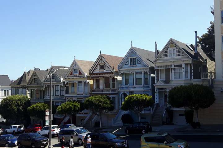 Painted Ladies