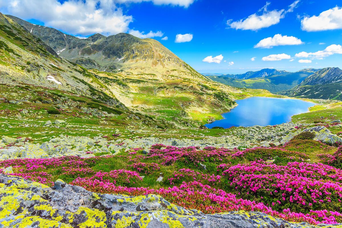 De Roemeense Karpaten