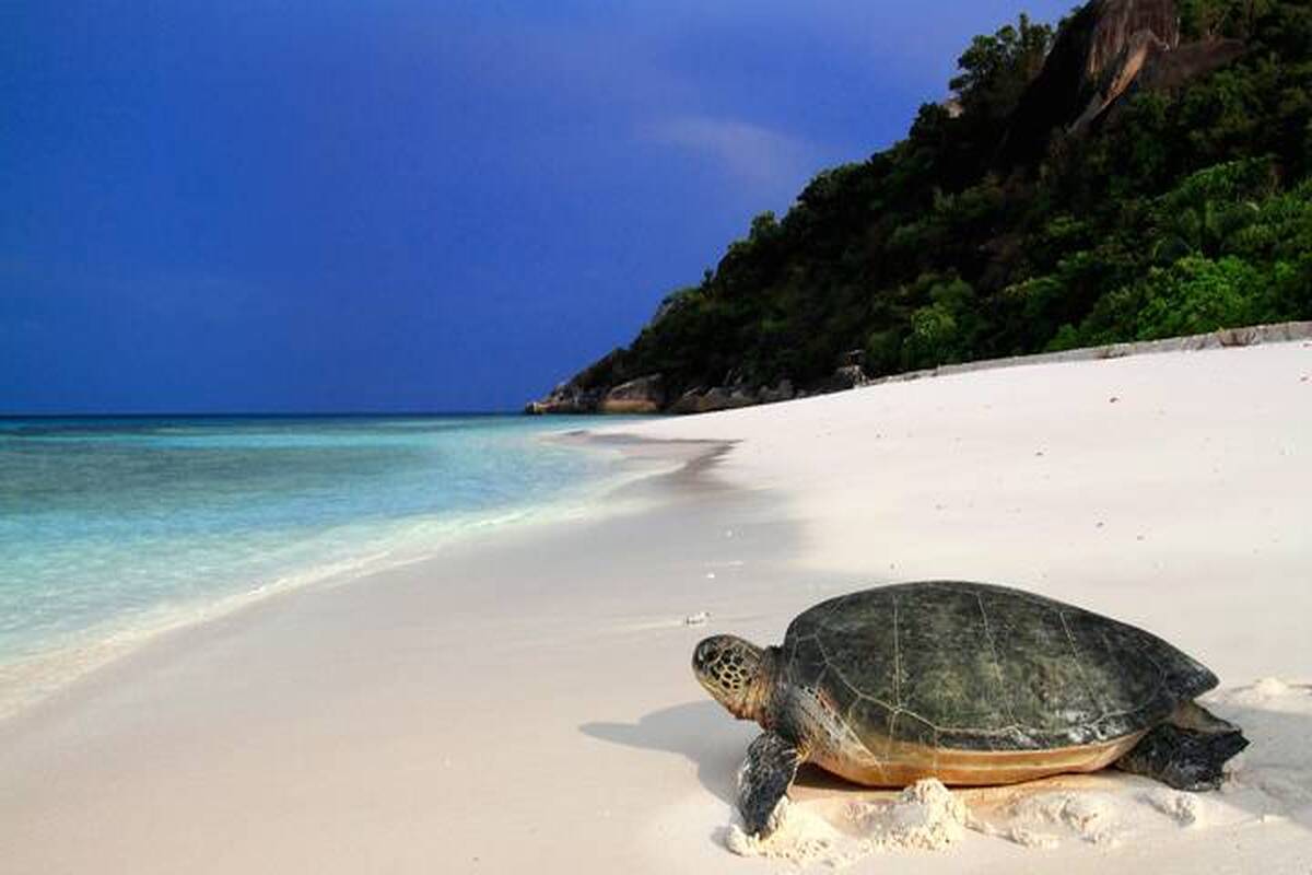 Het tropische Santana strand op Maio