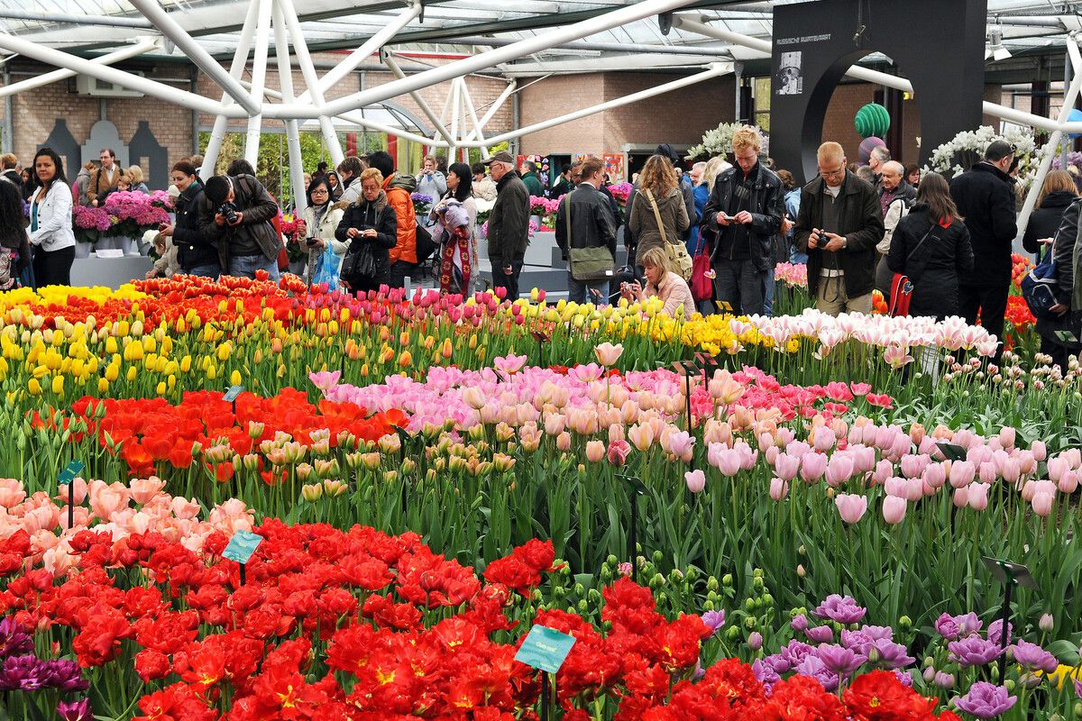 Bloemenshow Keukenhof Lisse