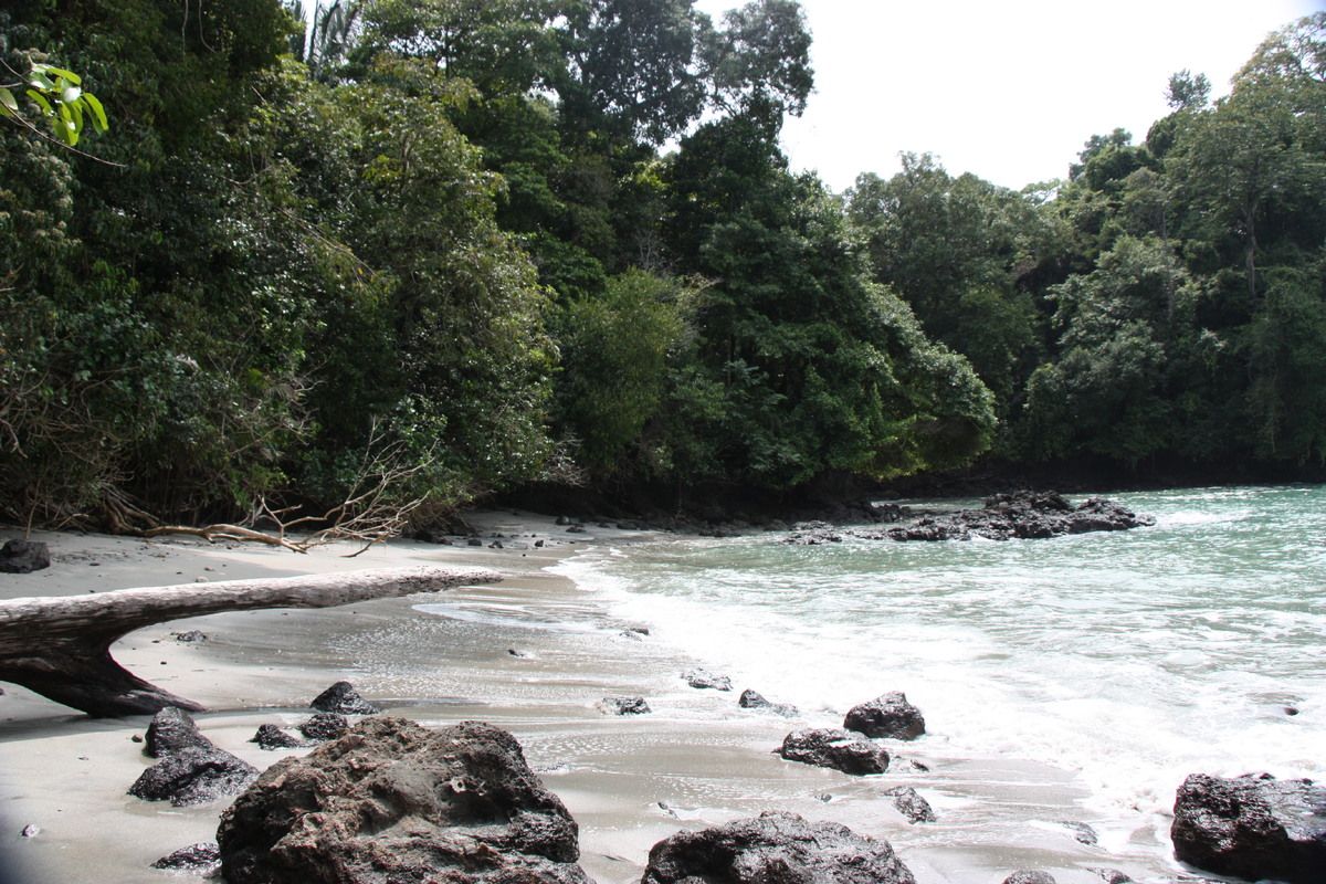 Een van de stranden in het nationale park