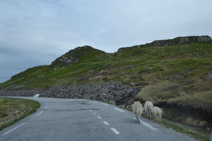 De smalle wegen in Sørlandet en Telemark