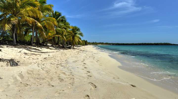 Strand Dominicaanse Republiek