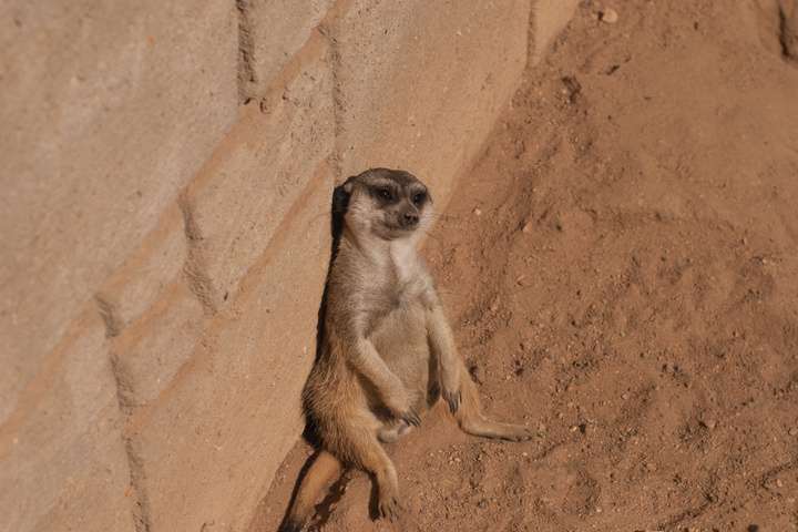 Parque Zoológico de Lagos