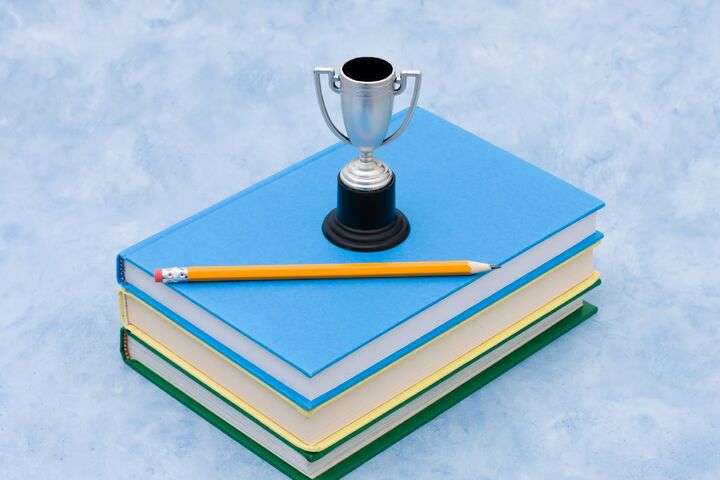 Uitreiking awards van de scholarship