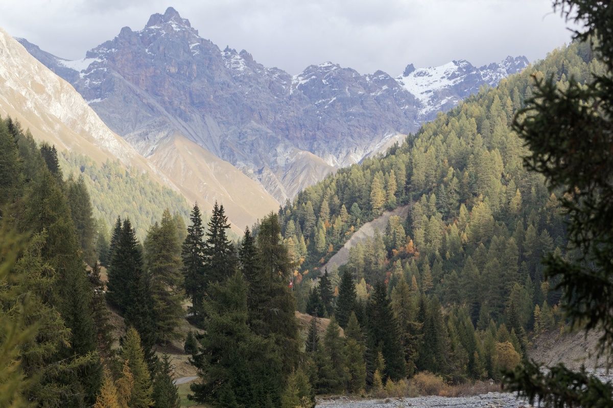 Zwitserse Nationale Park
