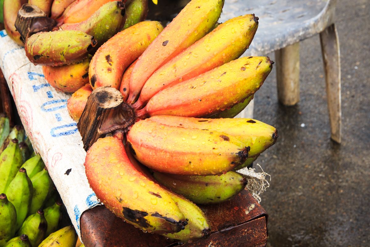 El Salvador en hun eigen keuken