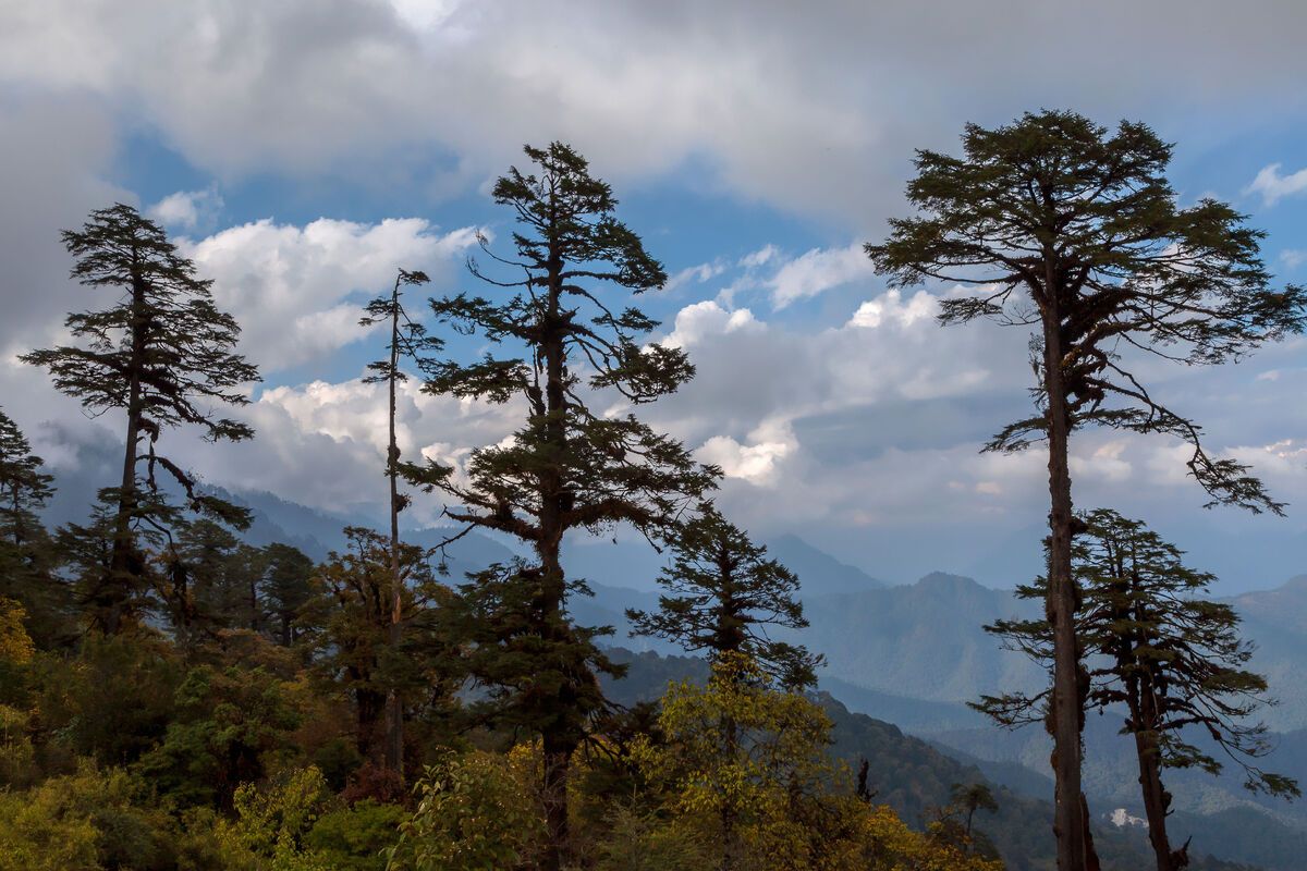 Himalayagebergte gezien vanaf Bhutan