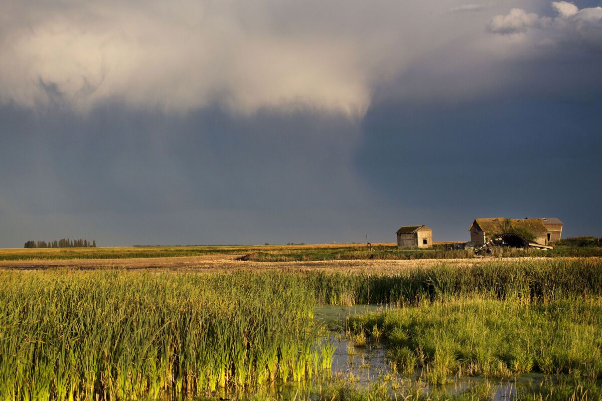 Landschap Saskatchewan