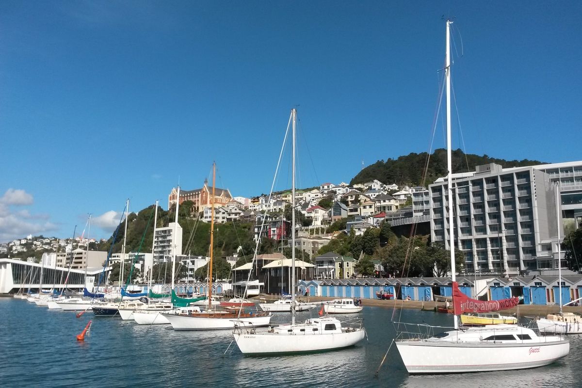 Kade met vele boten in Wellington