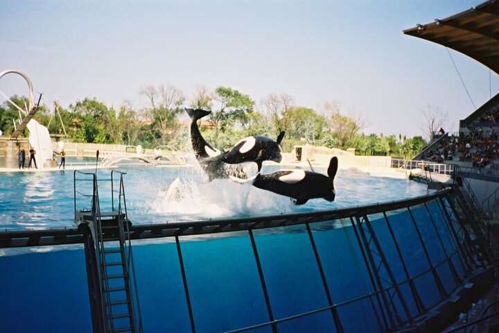 Marineland