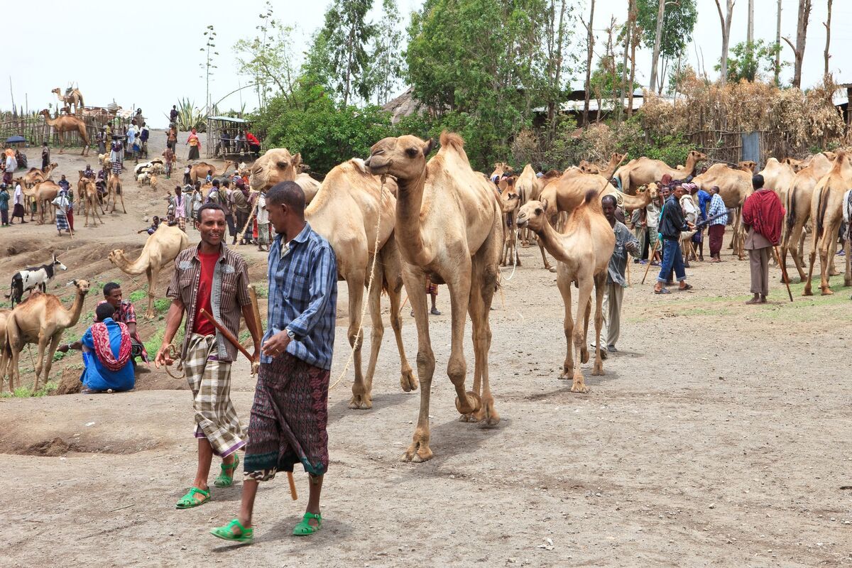 Ethiopi� van A tot Z