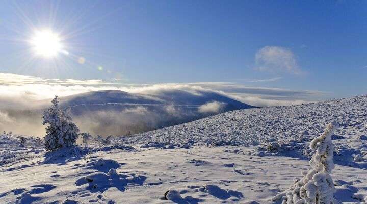 Winters landschap in Zweeds Lapland