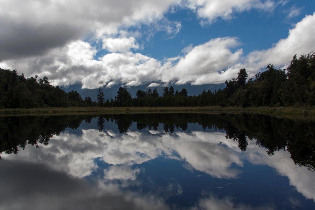 Een schitterende weerspiegeling van het bos in ''Lake Matheson''