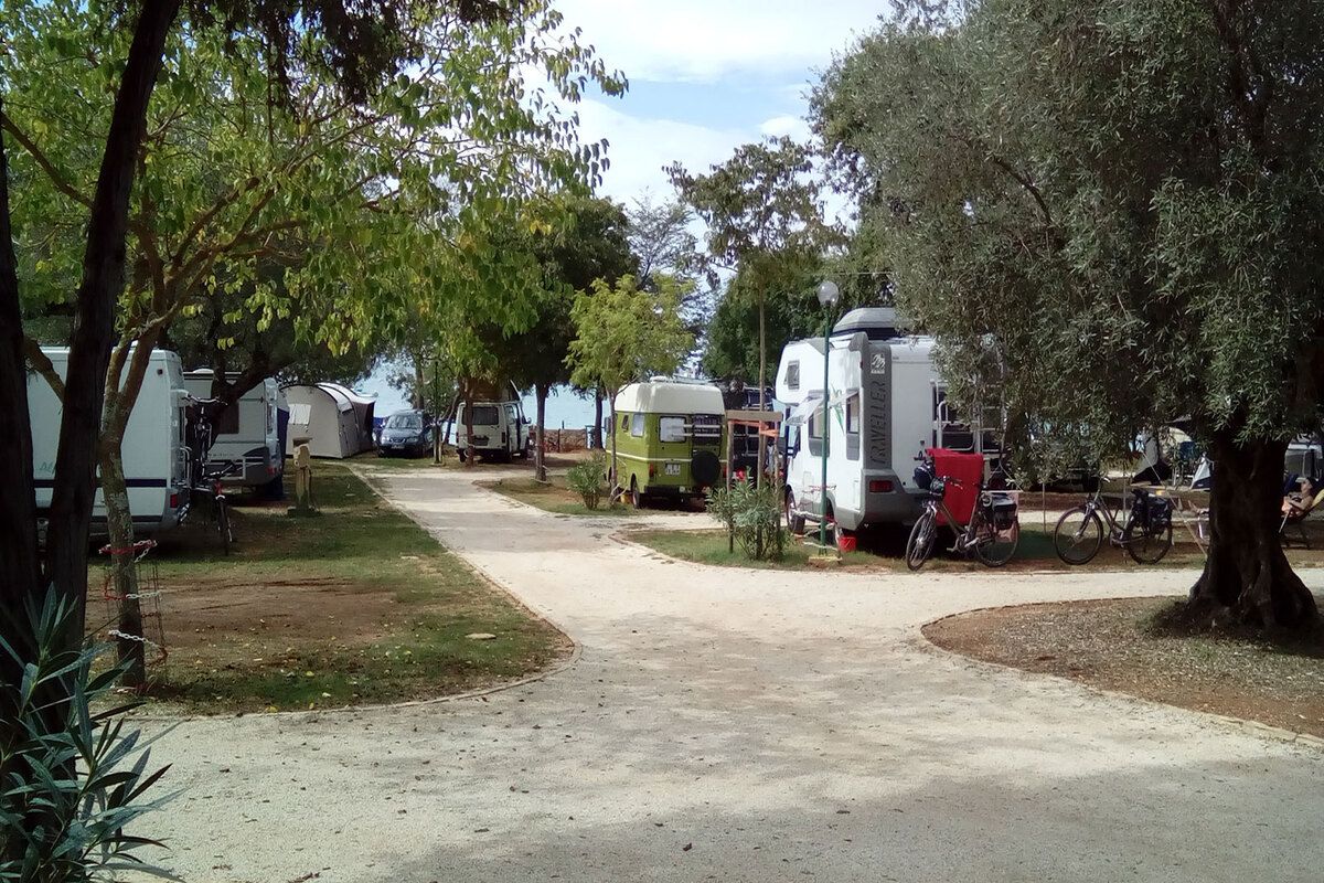 Gezellige campingplaatsen