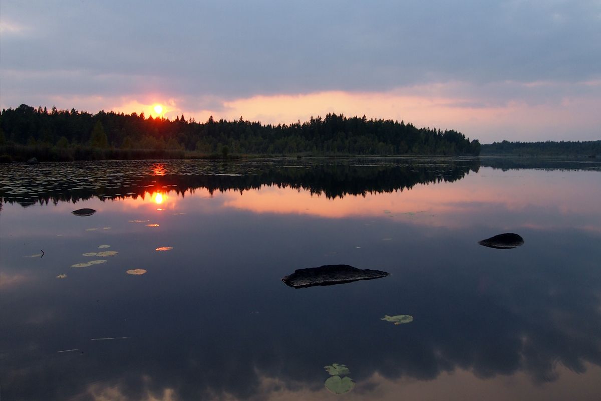 Mis vooral (het laatste uur voor) een zonsondergang niet op een van de bosmeren. En camera mee!