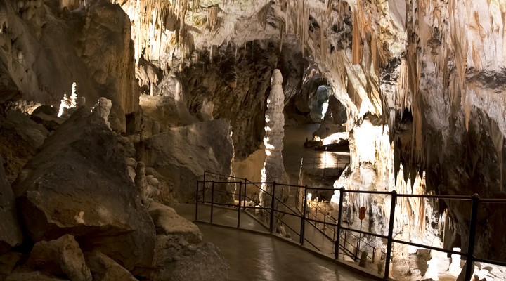 Grotten van Postojna, Sloveni