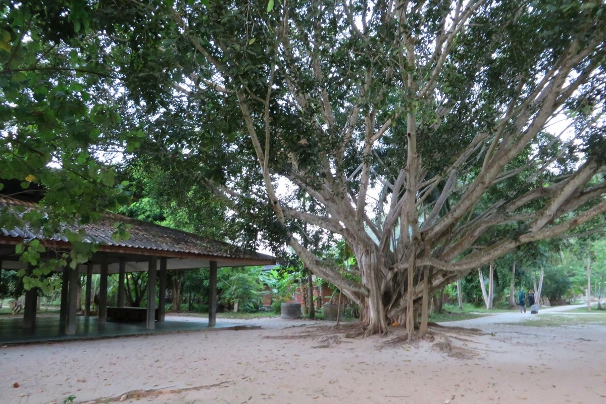 Foto van deze vakantie