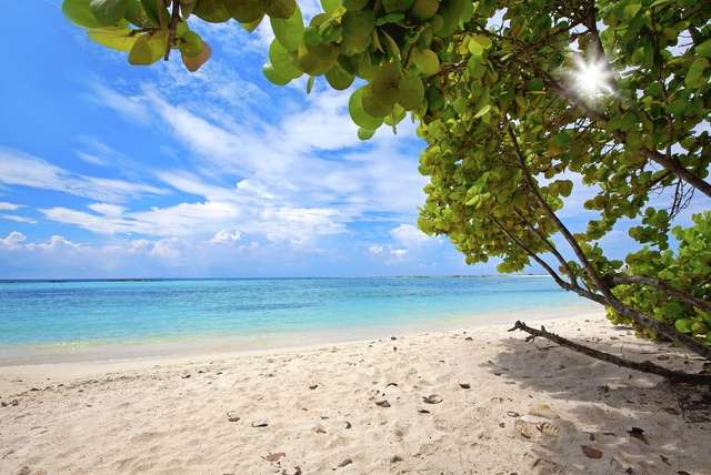 Zonvakantie bestemmingen voor maart