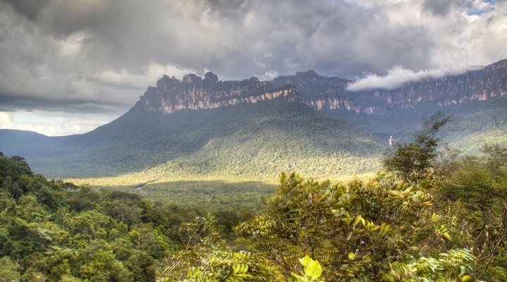 Veel natuurgebieden in Venezuela worden beschermd