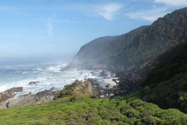 Top 10 excursies Oost-Kaap in Zuid-Afrika