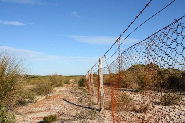Rabbit-Proof Fence