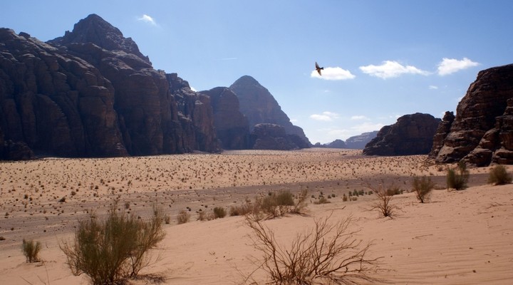 Woestijnlandschap van Jordanie, Wadi Rum