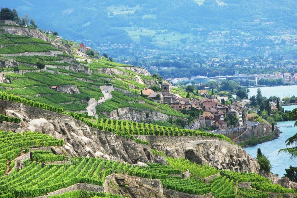 De wijngaardterassen van Lavaux gelegen aan de Genève rivier