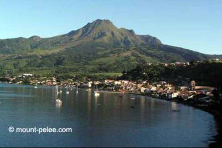 Mont Pel�e