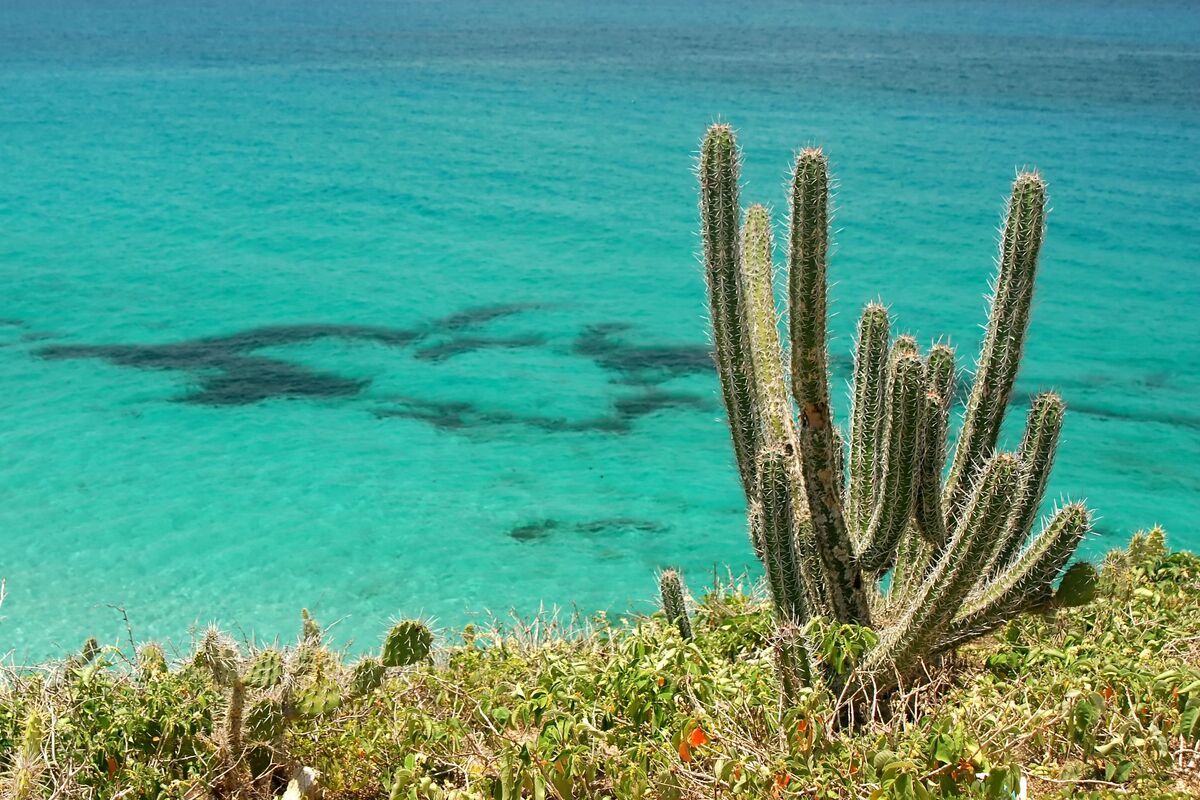 Heldere water van eilandengroep Los Frailes
