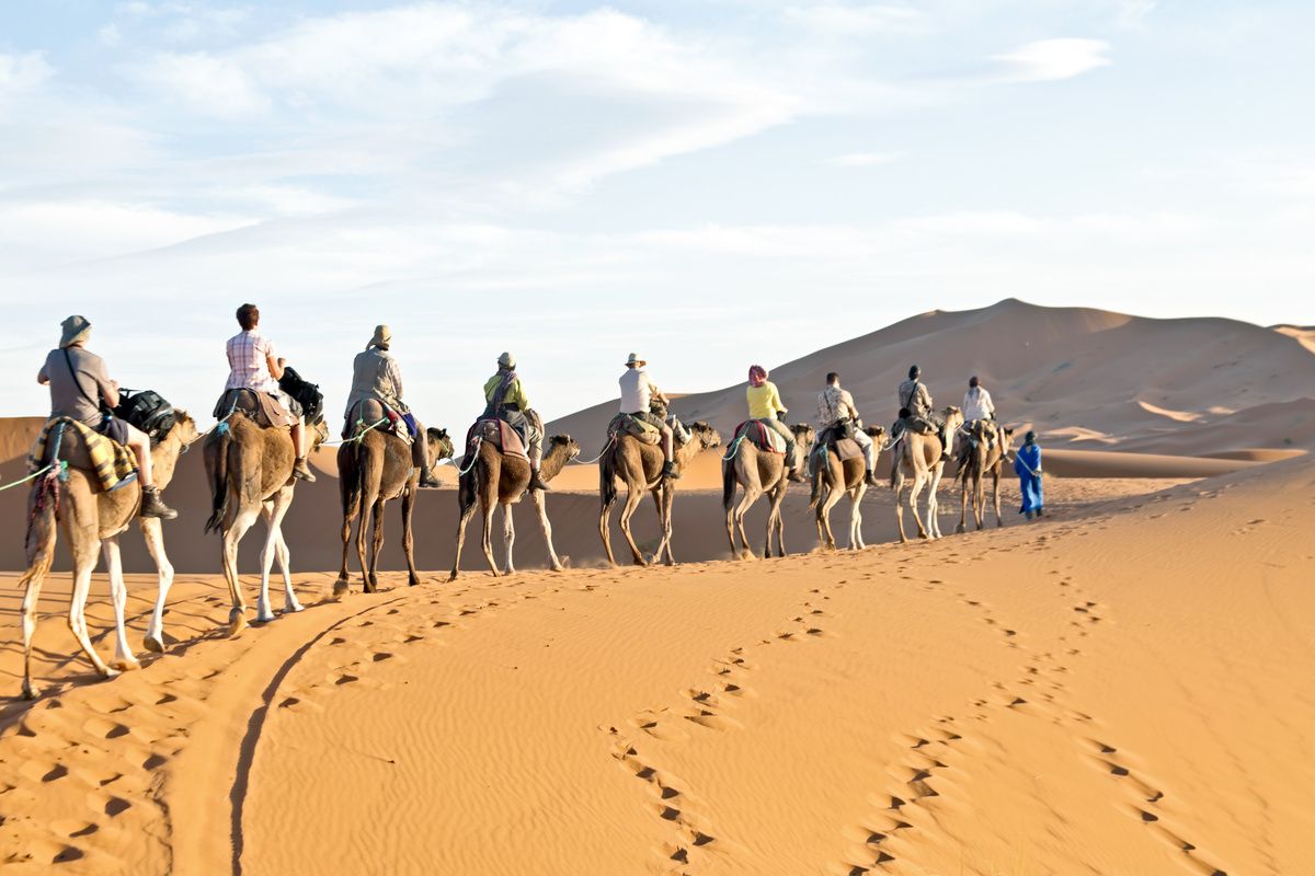 Kamelenkaravaan in de Sahara