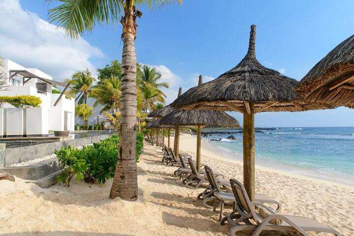 Strand met ligbedjes