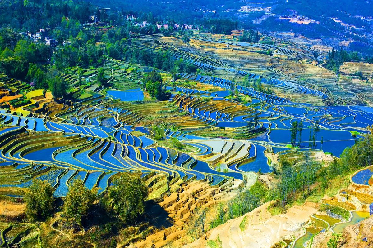 De Yuanyang rijstterrassen