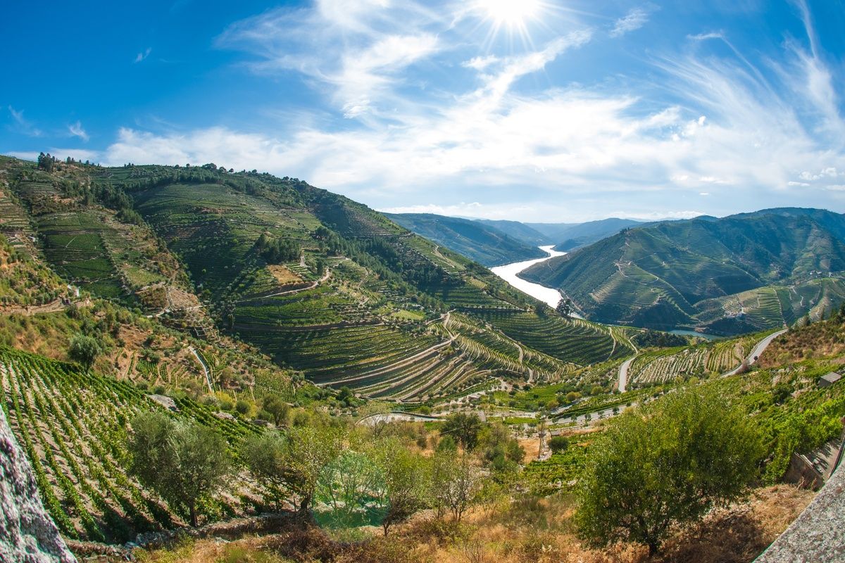 Douro Vallei