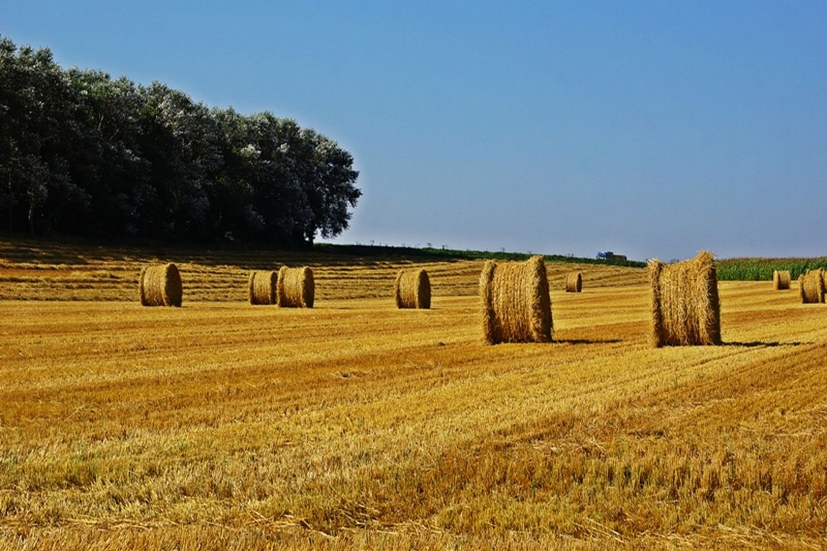 Hooibalen langs de weg