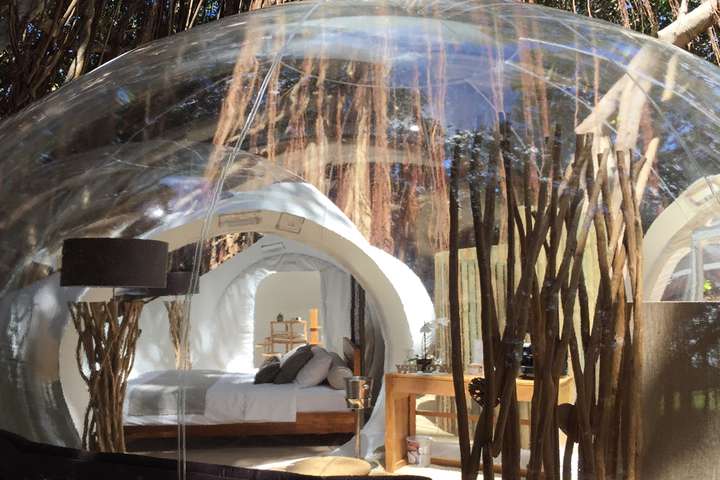  van 'Banyan Tree BUBBLE'