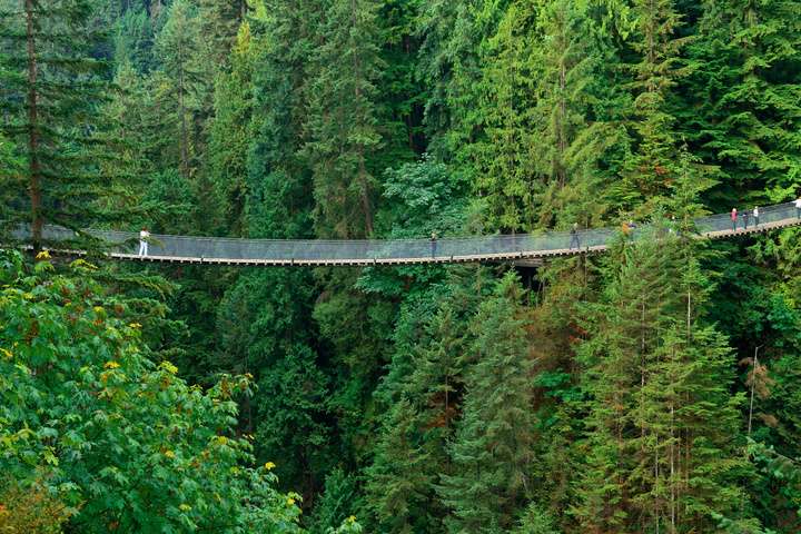 Capilano Suspension Bridge, Vancouver, Canada