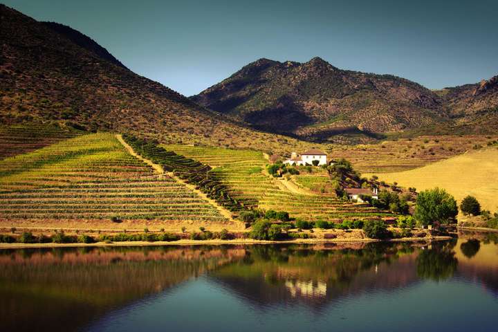 Douro vallei vanaf de Douro rivier