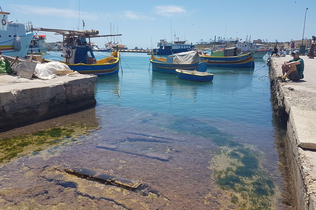 Luzzu bootjes in de haven