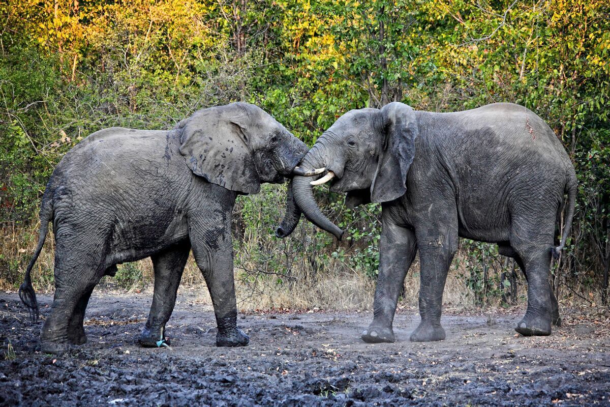 Malawi warm heart of Africa