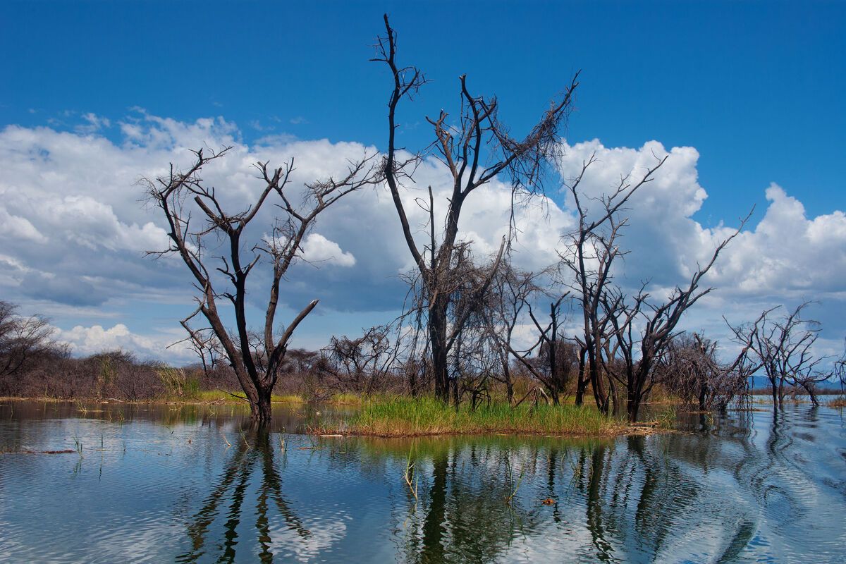 Lake Baringo Kenia
