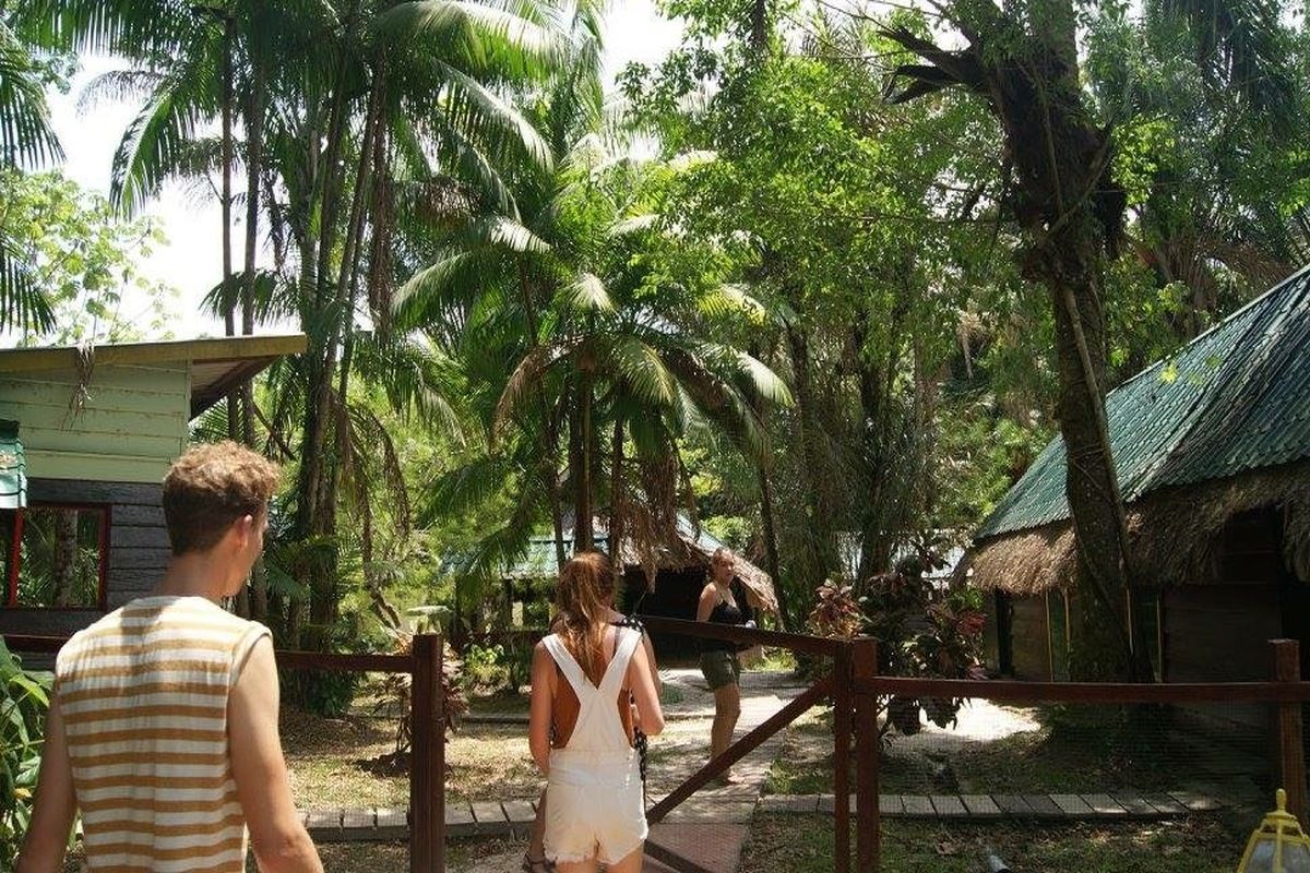 Het groene Suriname