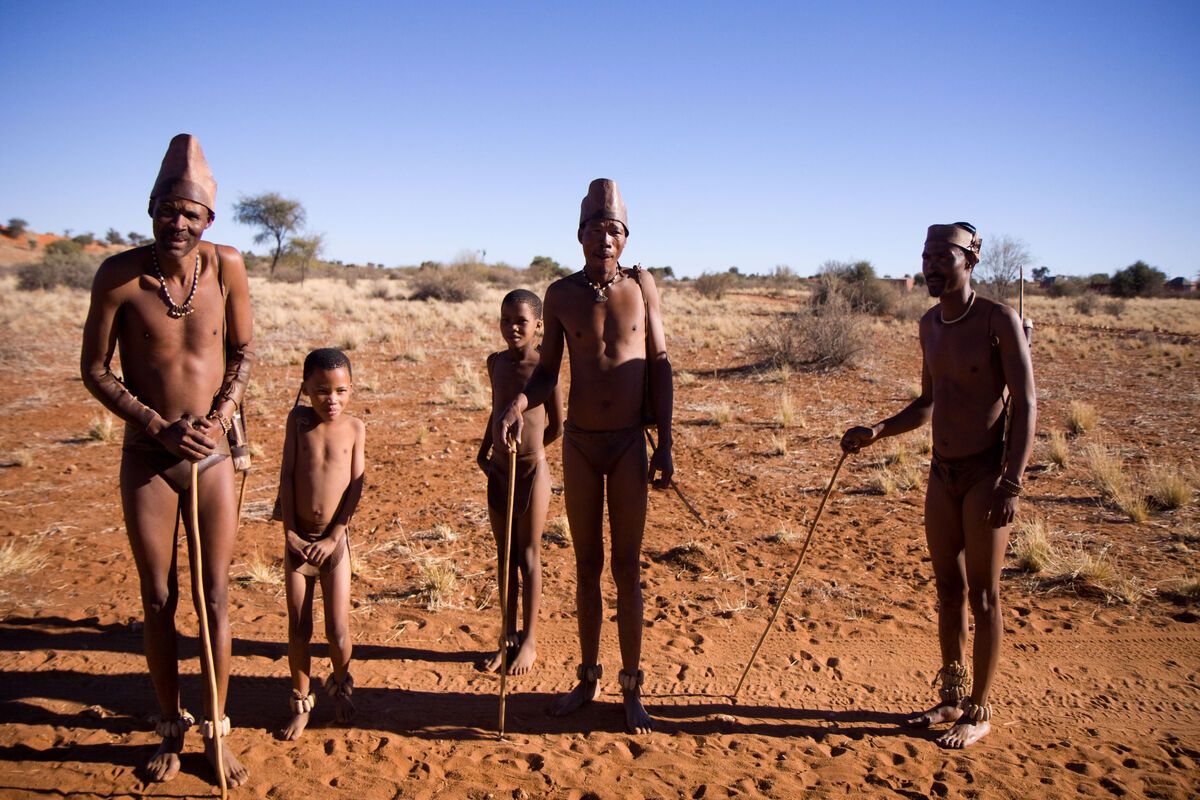 Bosjesmannen Zimbabwe