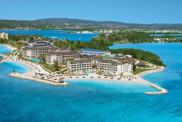Secrets Wild Orchid
