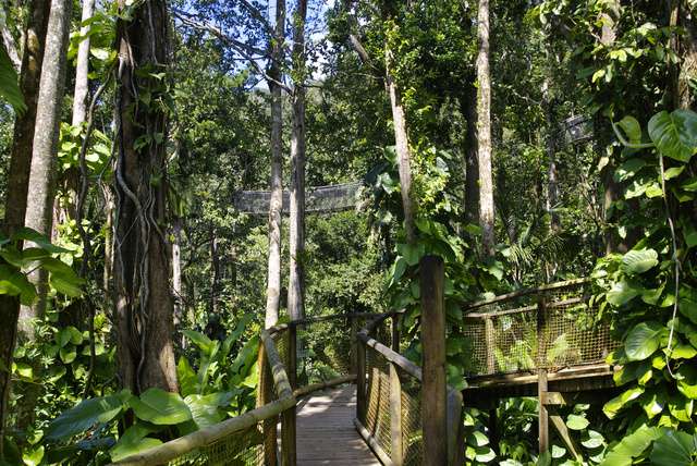 Top 5 bezienswaardigheden Guadeloupe