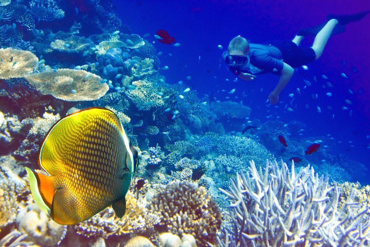 Duiken op de Malediven